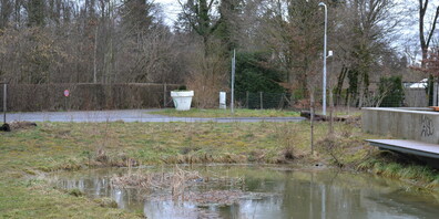 Hier an der Fronwaldstrasse sind Kröten besonders gefährdet. Doch der neu erstellte Teich birgt auch Gefahren.