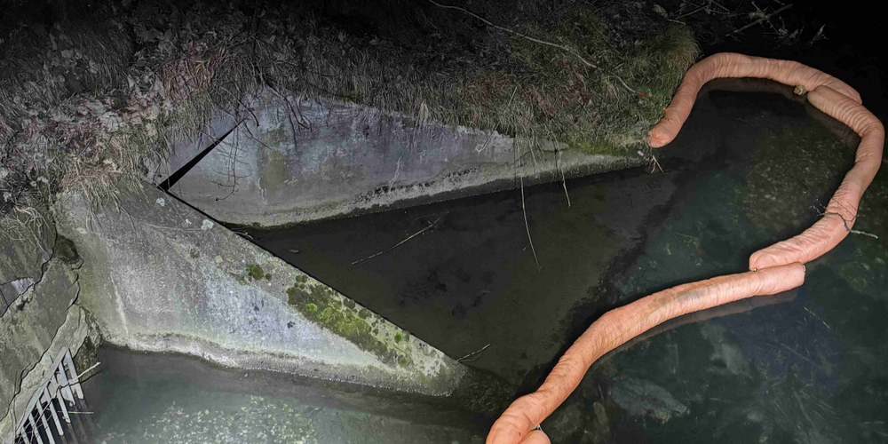 Aus einem Meteorschacht lief Öl in den Werdenberger Binnenkanal.