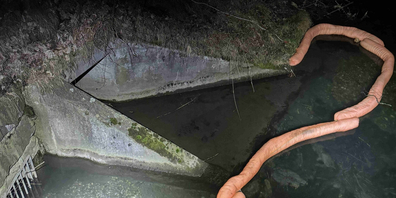 Aus einem Meteorschacht lief Öl in den Werdenberger Binnenkanal.