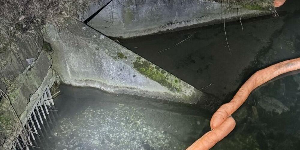 Mit einer Auffangvorrichtung wurde eine weitere Verschmutzung im Werdenberger Binnenkanal verhindert.
