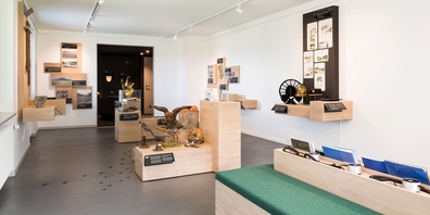 Blick in einen Ausstellungsraum des Ortsmuseums Schänis. (Archivbild)
