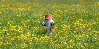 In Amden soll ein 310 Meter langer Abschnitt einer Leitung zu einem Hydranten ersetzt werden. (Symbolbild)