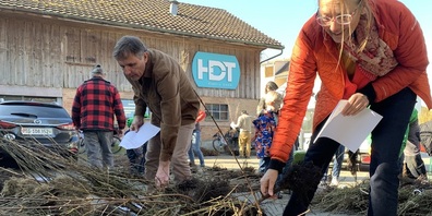 "Jeder Strauch zählt" findet grossen Anklang: Im letzten Jahr haben Kreuzlingerinnen und Kreuzlinger 800 Wildsträucher bestellt und gepflanzt. 