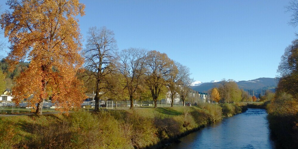 Aufgrund der erfassten Problemfelder aus dem kantonalen Bericht besteht im Toggenburg vor allem bei Biotopen und Gewässern der grösste Handlungsbedarf.