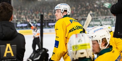 Der HC Thurgau hat hart gekämpft.