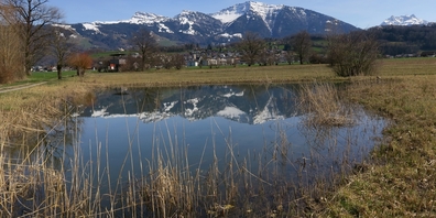 Im Benkner Schulreservat blieb auch dank der Initiative des Naturschutzvereins ein ursprüngliches Stück Riet erhalten. (Archivbild)