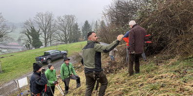 Trotz einiger Regentropfen wurde am Pro Riet-Kurs fleissig geschnitten und gesägt.