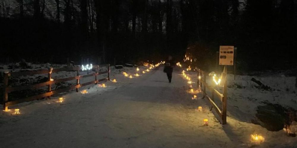 Ein Lichterweg voller Magie.