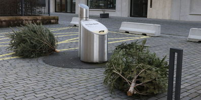 Ein Thema, das zu interessieren scheint: Christbäume werden von Entsorgung und Recycling Zürich kostenlos gesammelt.