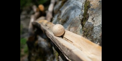 Die Roadshow «Into the Green» holt im Februar Naturfeeling ins Einkaufszentrum Karussell Kreuzlingen.