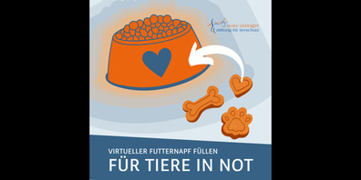 Damit auch Tiere, die kein sicheres und behütetes Daheim haben, eine Chance auf wahre Liebe und Fürsorge erhalten, kann eine Spende zu Gunsten heimatloser Tiere eine bedeutende Geste mit grosser Wirkung sein.