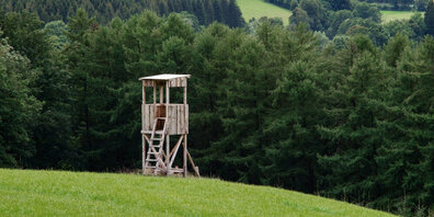 Revier Jagd St. Gallen, der Dachverband der St. Galler Jäger, gibt seine Wahlempfehlung ab. 