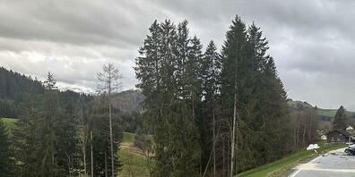 Die Kantonspolizei Appenzell Ausserrhoden rückte am Samstagnachmittag zu einem Unfall in Bühler aus.