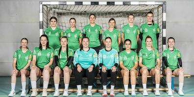 Am 23. März 2024, bestreiten die Damen des TV Herisau das letzte Spiel zusammen. Das Team löst sich anschliessend auf. 