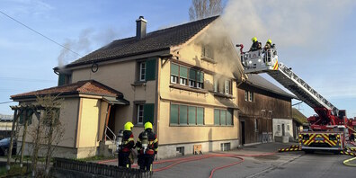 Die Feuerwehr konnte den Brand schnell löschen.