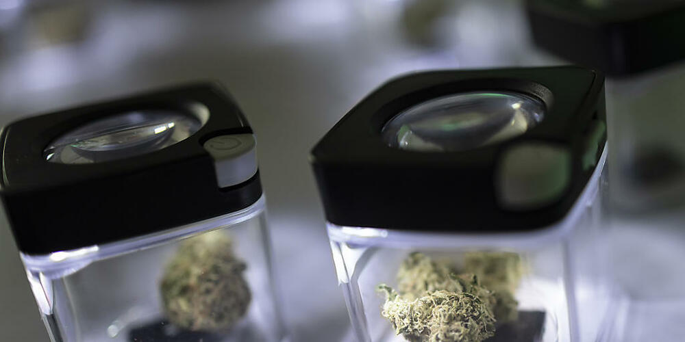 Kleine Mengen von Cannabis dürfen nicht mehr zur Vernichtung eingezogen werden. Polizei und Staatsanwaltschaft haben deshalb die Praxis angepasst. (Archivbild)