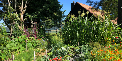 Im Jahr 2024 unterstützt der Naturpark Schaffhausen die naturnahe Aufwertung von 40 Gärten .