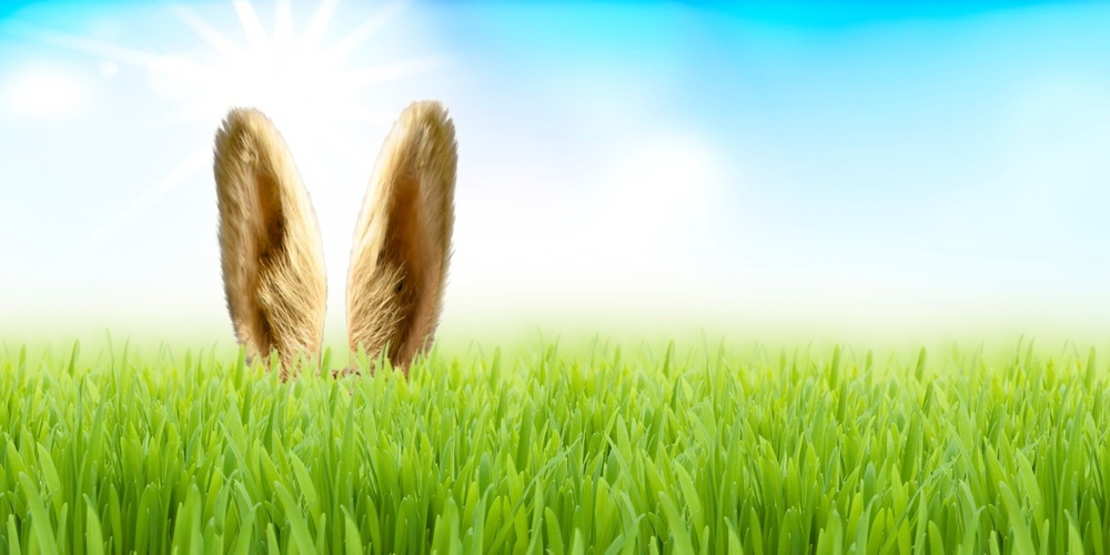 Muss sich der Osterhase vor Regen oder Sonne schützen?