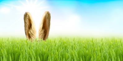 Cevi Dürnten versteckt hunderte Osterhasen.  Jeder darf sie suchen!