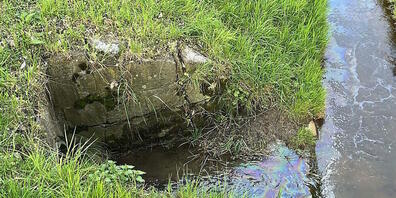 Die Einsatzkräfte entdeckten im Bach einen Ölfilm. Das verschmutzte Wasser aus einem Öltank war nicht sachgemäss entsorgt worden.