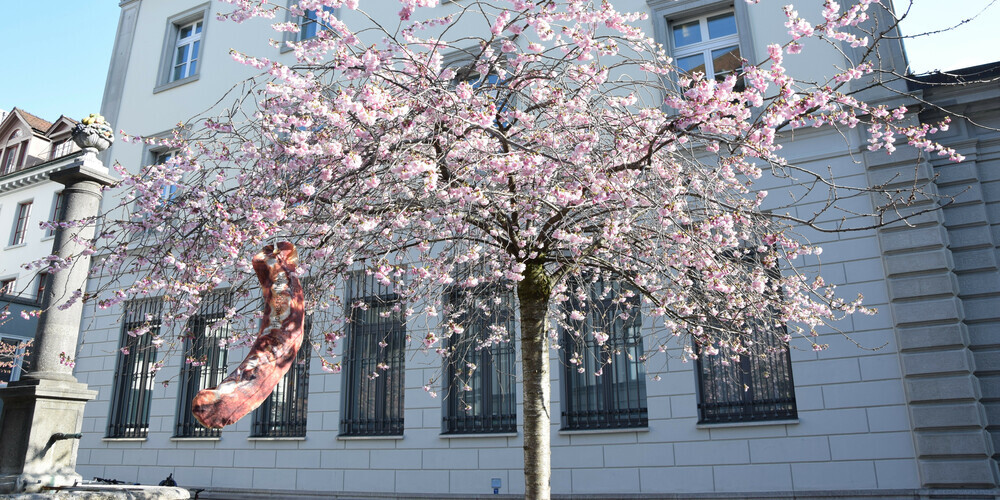 In der Region St.Gallen Bodensee haben sich zwölf Bratwürste versteckt.
