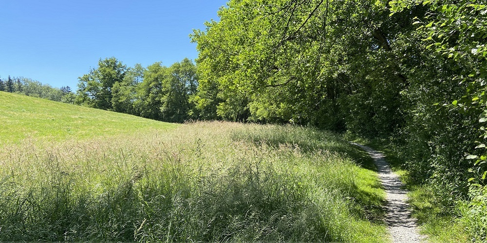 Für die Pufferstreifen- und Schleppschlauchkontrolle ist die KUT aus Flawil zuständig. 