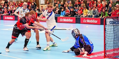 Für Alligator Malans geht es nach einer umkämpften Playoff-Serie in die Sommerpause.