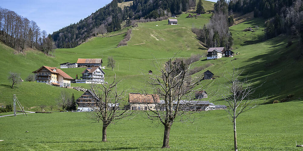 Das Gelände im Gebiet Altstatt in der Gemeinde Sattel soll für unverschmutzten Aushub benutzt werden.  (Archivbild)