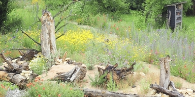 Gartenbesitzerinnen und -besitzer sollen ihre Gärten naturfreundlich gestalten.