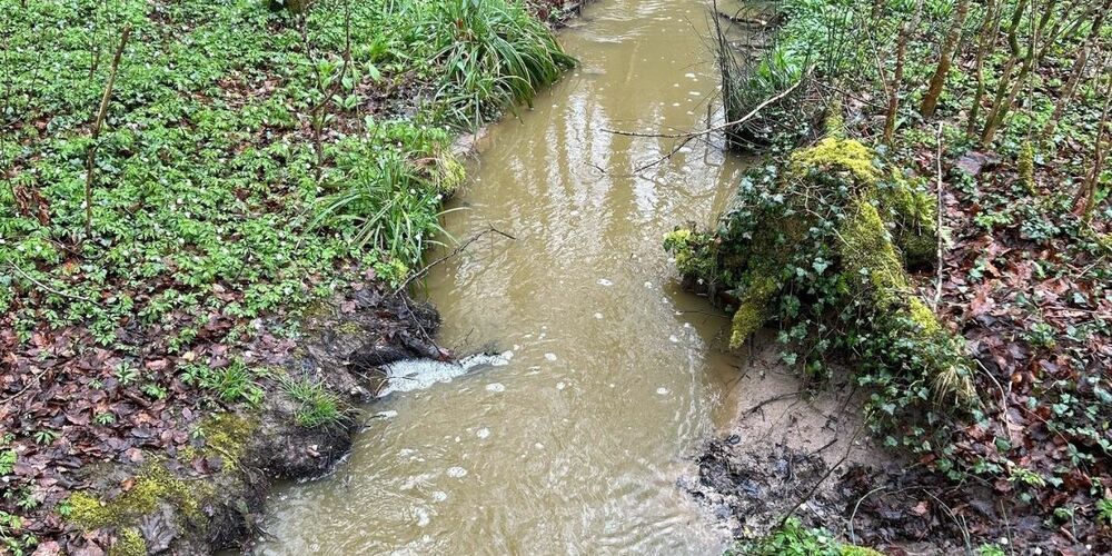 Das Gewässer wies eine deutliche braune Färbung auf.