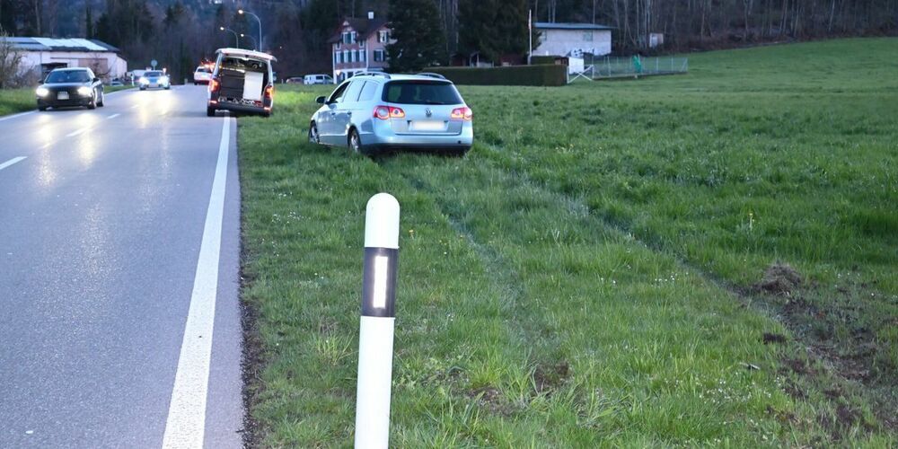 Der Fahrer erkundete das Wiesland neben der Strasse.