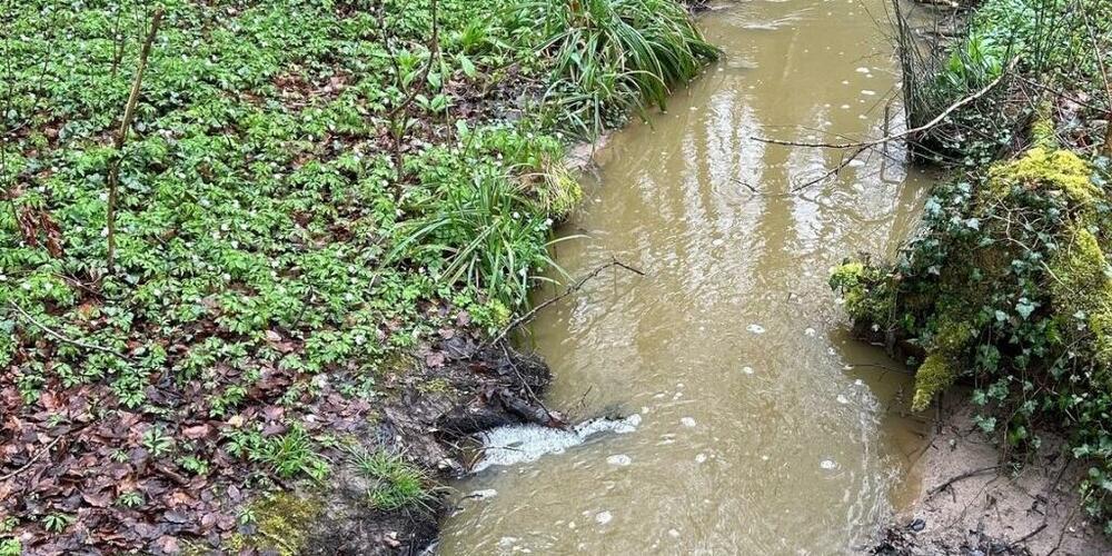 Die Gülle eines Landwirtschaftsbetriebes hat in Flawil SG ein Seitengewässer der Glatt verschmutzt.