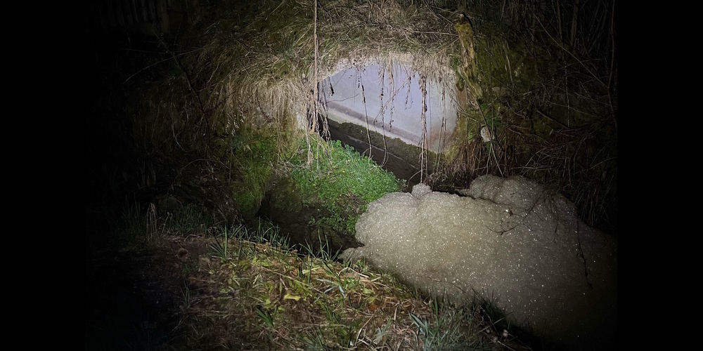 Der Fischbestand in Wittenbach ist ausgelöscht.