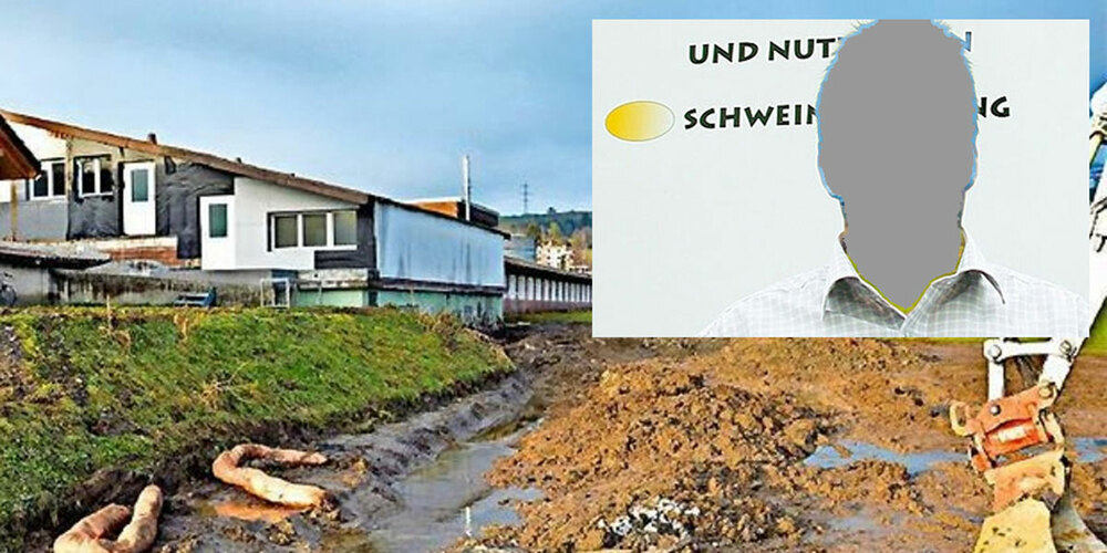 Nicht nur Bauern wurden von Käser Wick betrogen, er verstiess auch gegen mehrere Gesetze als Schweinezüchter im Linthgebiet.