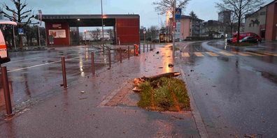 Nicht der Föhnsturm, sondern ein alkoholisierter Autofahrer bedeutete das Ende für diesen Baum.