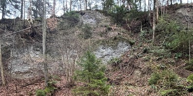 Der Mann verunfallt bei der Ruine Tannegg.