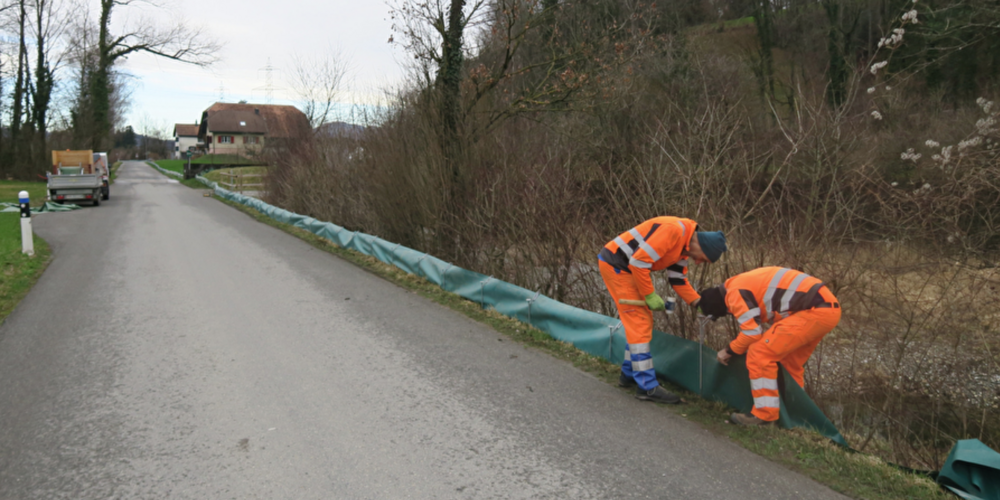 Duch den Zaun werden die Tiere daran gehindert, die Strasse frei zu überqueren.
