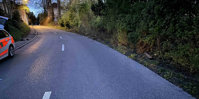 Rechts der zerstörte Zaun.