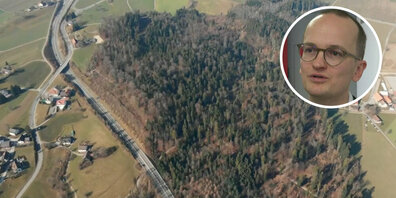 Der Grossteil dieses Waldes soll, wenn es nach dem Zürcher Regierungsrat geht, einem Deponiestandort zum Opfer fallen.