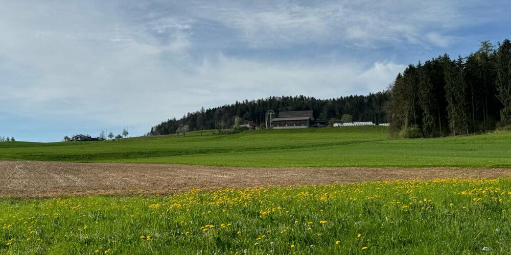 Auf der «Neuweid» in Maur plant der Kanton einen neuen Deponiestandort mit einem Volumen von 600'000 m3.