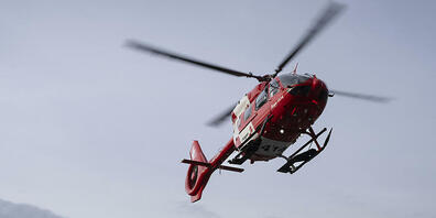 Das Mädchen wurde nach dem Hundebiss ins Gesicht mit einem Helikopter ins Spital geflogen. (Archivbild)