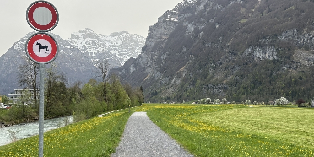 Trotz Fahrverbot war ein Velofahrer auf dem linksseitigen Wanderweg an der Linth in Näfels  unterwegs, schlug beim Vorbeifahren eine Wanderin und floh.