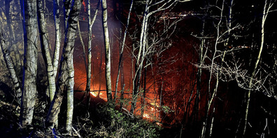 In Rufi verursachten Funken einer Grillstelle einen Waldbrand.