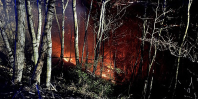 Brand in Rufi