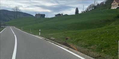 Der Motorradlenker kam bei der Kollision rechts von der Strasse ab.