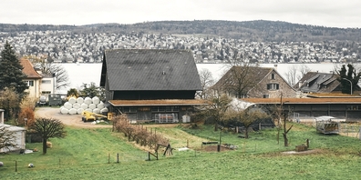 Äcker, Wiesen und Weiden: In Wollishofen liegen Land und Stadt nahe beieinander. Der Schipferhof ist bei der Bevölkerung beliebt.