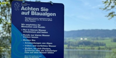 Mit den wärmeren Temperaturen kommen auch wieder die Blaualgen.
