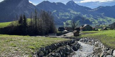 Der Rätigsbach mit sanierten Sperren, im Hintergrund der umgebaute Geschiebesammler Engiberg.