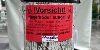 Jetzt wird mit Rattengift gearbeitet.
