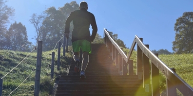  In der 30-seitigen Broschüre erfährt man viel über die «Stägestadt» – unter anderem über die Geschichte, die Bauweise und die Vielfalt der St.Galler Treppen. Zudem gibt es Tipps für ganz unterschiedliche Treppentouren und vieles mehr